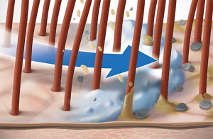 ds scalp specialist technology zinc pca