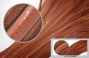 ds ultra volume technology rice protein