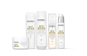 Goldwell rich repair shampoo cheap