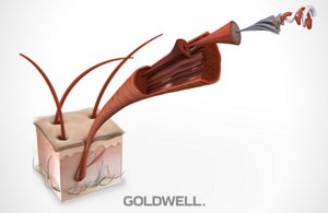 0.1 pic intro headergrafik small