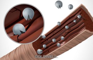 coenzyme technology 01