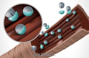 coenzyme technology 02