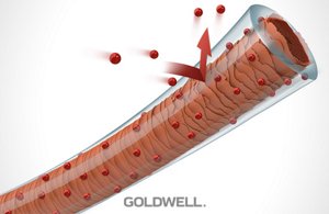 color equalizer system 03