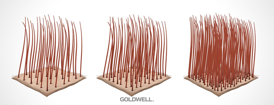 Goldwell Hair Density vs. Texture