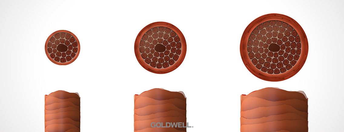 Goldwell Hair Density Vs Texture