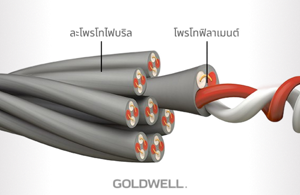 ไมโครไฟบริลและโพรโทไฟบริล (MICROFIBRIL & PROTOFIBRIL)