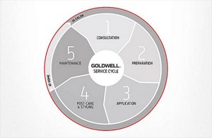 iconicbrunette education overview teaser cycle 2017