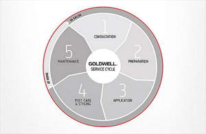 iconicbrunette education overview teaser cycle 2017