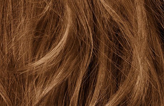 Goldwell Kerasilk Control Keratin Treatment Service