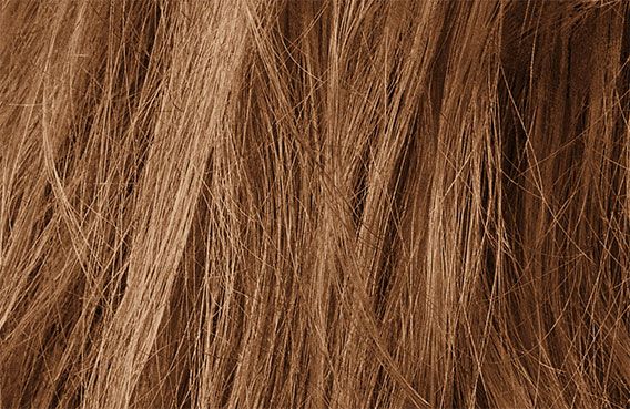 Kerasilk Control De Frizz Service