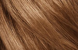 Kerasilk Control De Frizz Service