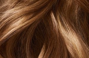 Kerasilk Control De Frizz Service