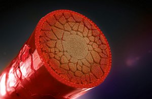 GW elumenation services m-teaser technic-2020