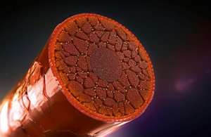 GW elumenation services m-teaser technic-2020