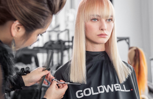 GW-MB-GOGOLDWELL-Brand-M-Teaser-Education