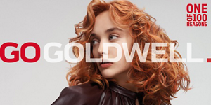 GW-MB-GOGOLDWELL-Home-Fullscreen-Teaser-1