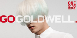GW-MB-GOGOLDWELL-Home-Fullscreen-Teaser-4