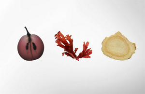 kerasilk revitalize lp teaser ingredients04 2019.