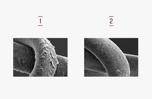 nectaya technology pic2