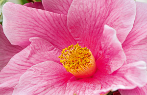 GW-Newance-Products-Technology-M-Slider-1