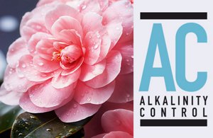 Woman with grey hair smiling and glancing at her right on light grey background and square frame.
