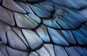 a package of goldwell stylesign naturally full and blowout and texture spray on a white background