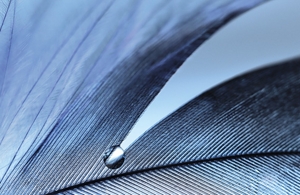 a package of goldwell stylesign sleek perfection and smoothing serum spray on a white background