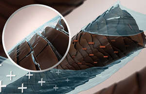 Animated picture of hair structure and logo of integrated protect system