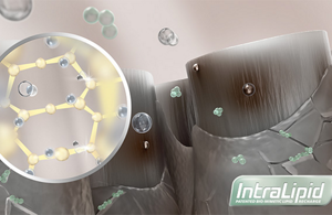 Animated picture of hair structure and logo of integrated protect system
