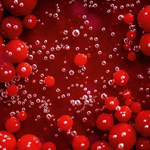Red berries in sparkling water