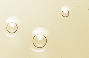 Yellow liquid with bubbles on the surface