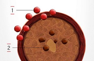 red technology smalljpg