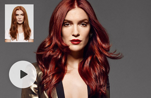 teasersize ba elise 2