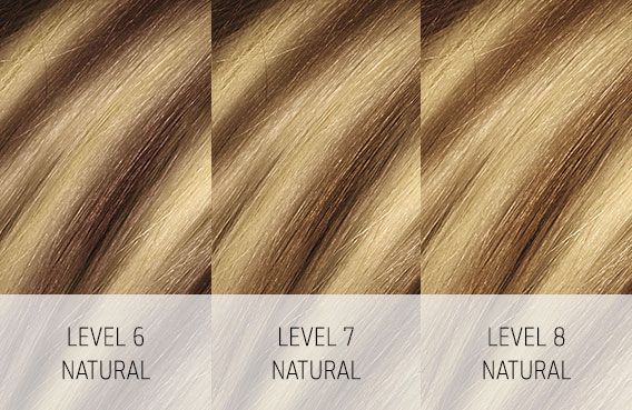 Goldwell Colorance Services