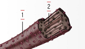 iconicbrunette service site teaser layer 2017