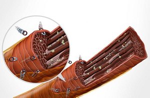 160629 s s technology