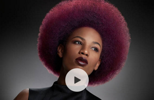 system launch 04 elumenatedservices site 04 colorboosting placeholder