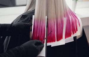 system launch 04 elumenatedservices site seminars