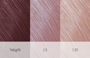 elumenation update topchic m teaser 568x369px shades 02 2019