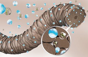 an image of a hair cross-section showing the effect of goldwells triple moisture bounce complex technology formula
