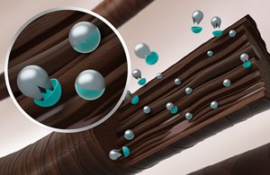 topchic-50-years-coenzyme-technology