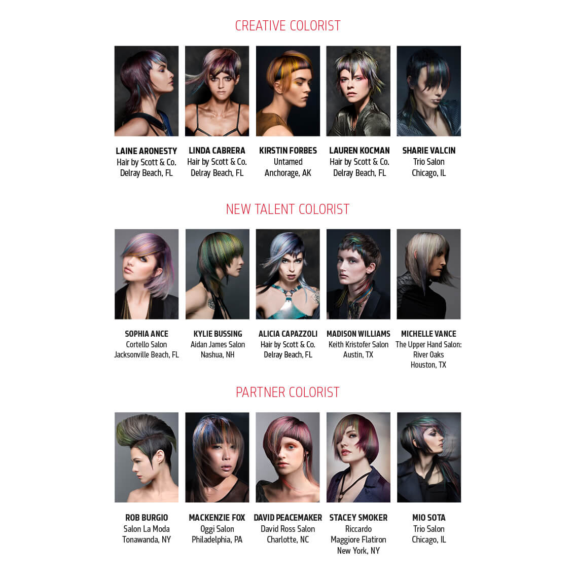 Goldwell 2017 U S Color Zoom Semi Finalists
