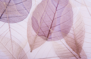 a package of goldwell stylesign sleek perfection and smoothing serum spray on a white background