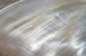 a package of goldwell stylesign soft volumizer and  everyday blow-dry spray on a white background