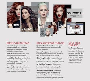 2015 color campaign pg2