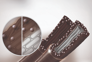 Image of Grey Coverage