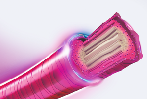 Image of Elumen HDmax & Shine and Care Technology