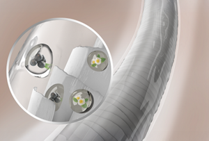 Image of Acai Berry Technology