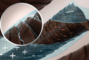 Image Equalizer Technology