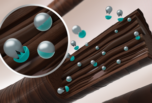 Image of Coenzyme Technology
